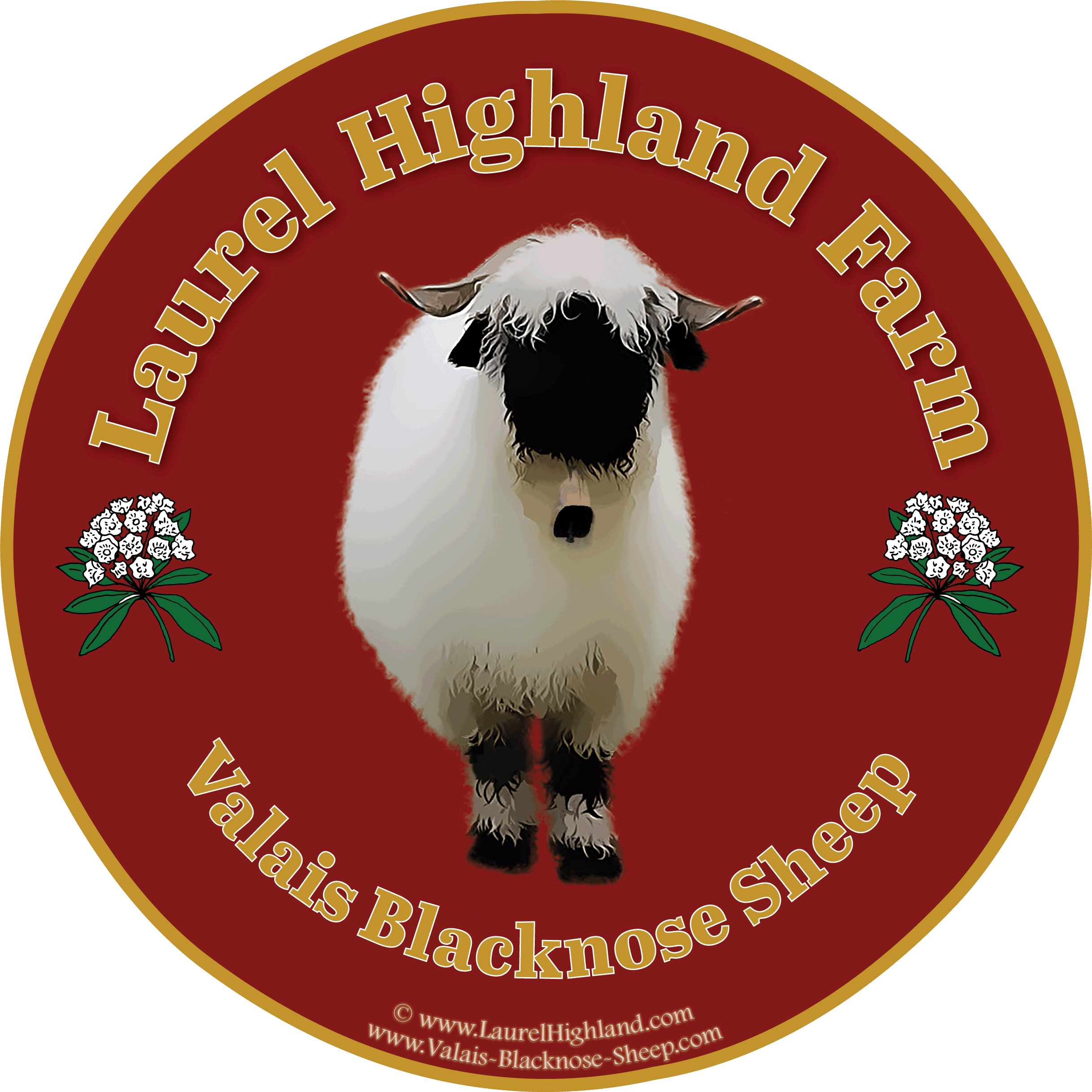 Valais Blacknose Sheep For Sale In Usa Price