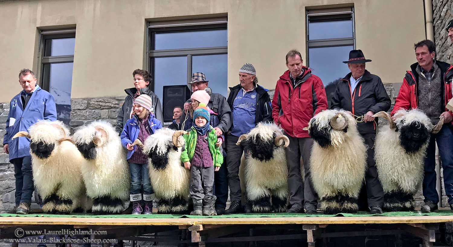 Top Rams Widdermarkt 2018